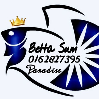 Логотип @bettasumparadise - BETTA SUM PARADISE BIDDING🐠🐟