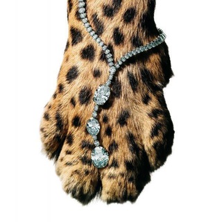 Логотип @betterpersone - THE BEST PERSON