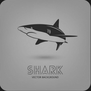 Логотип @betting_officialll - MONEY SHARK