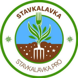 Логотип @bettingarbitrage - Букмекерские вилки