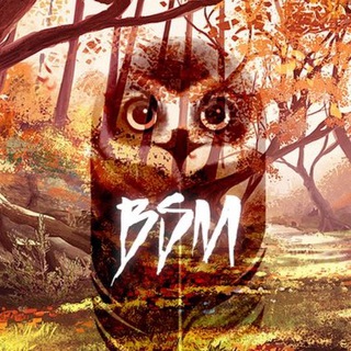 Логотип @bettingspotmsk - BETTING SPOT MSK/СТАВКИ НА СПОРТ