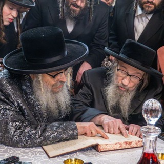 Логотип @betzeilhadometz - בצל הדומ"ץ