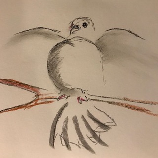 Логотип @bewegungleipzigoffiziell - BewegungLeipzig