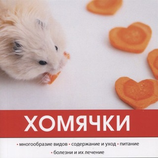 Логотип @bez2dom - Бездом2ные
