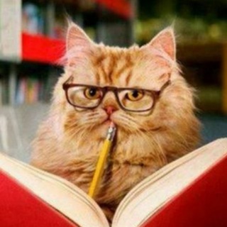 Логотип @bez_durak_off - Без дураков