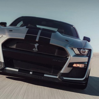 Логотип @bez_tormozov_fm - Без тормозов