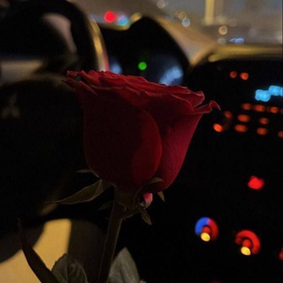 Логотип @bezam_doggg - 𝑏𝑒𝑧𝑎𝑚𝑒 𝑑𝑜𝑔.🤍