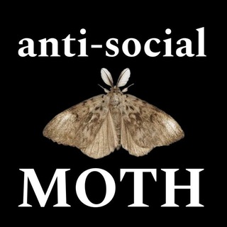 Логотип @bezdna87 - Мотылёк из бездны