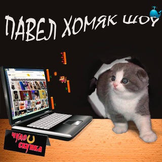 Логотип @beznogiignom - павел хомяк шоу