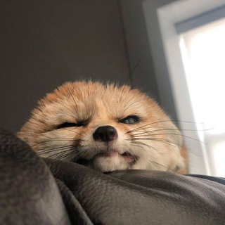 Логотип @bezobraziie - 𝐁𝐞𝐳𝐨𝐛𝐫𝐚𝐳𝐢𝐞