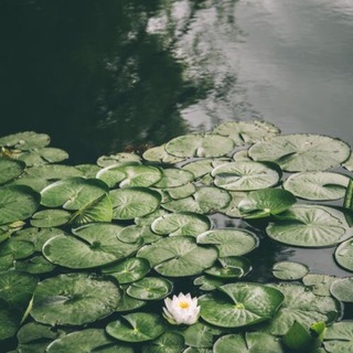 Логотип @bezopasnoemesto - А ты точно психолог?