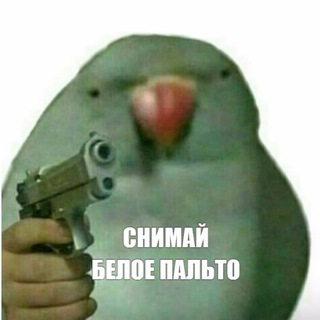 Логотип @bezpaltov - Снимай БЕЛОЕ ПАЛЬТО!