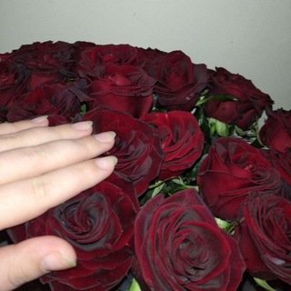 Логотип @bezphot - Злой мальчик