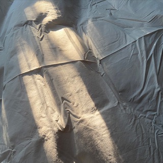 Логотип @bezumecc - М