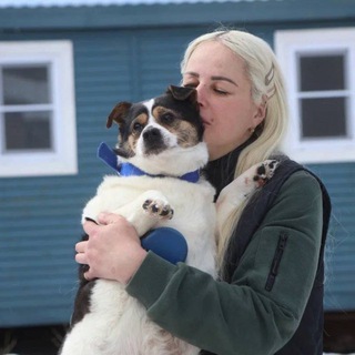 Логотип @bf_friendforeve - Приют Друг Навсегда🐕‍🦺