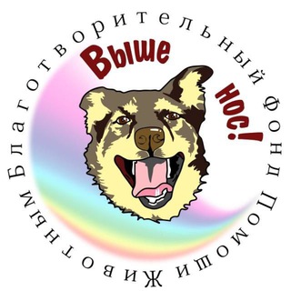 Логотип @bf_vishe_nos - Фонд ВЫШЕ НОС 🐾
