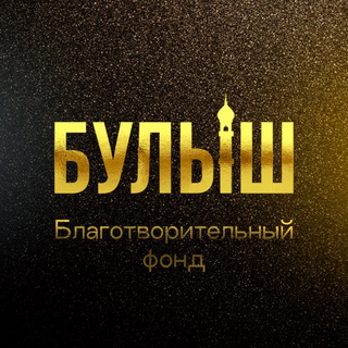Логотип @bfb_rt - БФ «БУЛЫШ» ПОМОГАЙ!