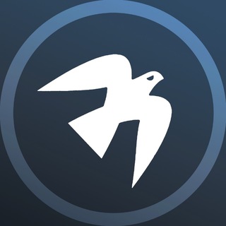 Логотип @bgramofficial - BGram Official