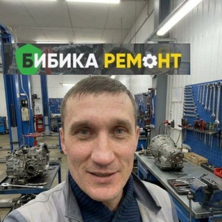 Логотип @bibikarem - Орлов Бибика| Агрегатный ремонт