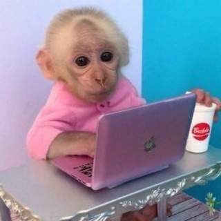 Логотип @bibizhani - Бибизяны | Обезьяны