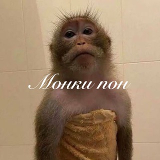 Логотип @bibizyana_tut - монки пон