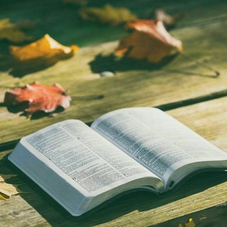 Логотип @bible_quiz - Вікторини по Біблії