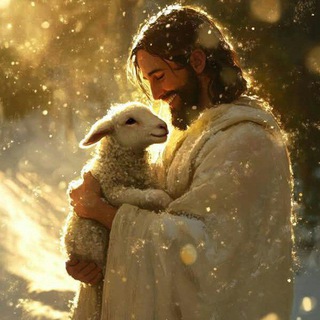 Логотип @bible_quotes_daily - Daily Bible Quotes | Bible Verses