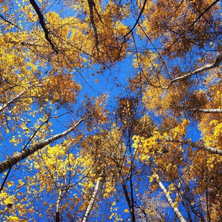 Логотип @bibleiskaya_vera - Библейская вера Путь к Богу Благая весть