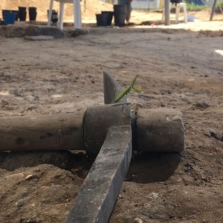 Логотип @biblicalarchaeology - Библейская Археология