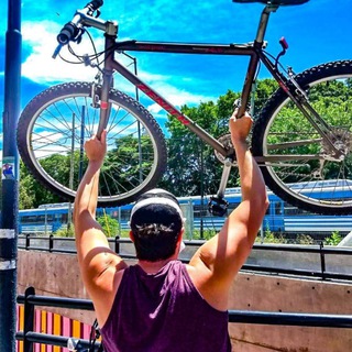 Логотип @bicibandido - Dictadura de la bicicleta🐊📣