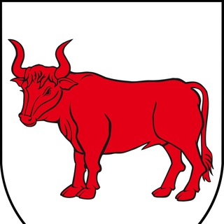 Логотип @bielsk_podlaski - PodlaskiByk