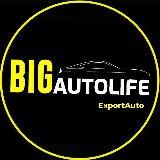 Логотип @bigautolife - Bigautolife