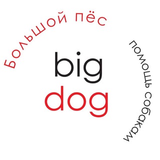 Логотип @bigdog_ekb - Bigdog_ekb помощь собакам🏡🐕💚