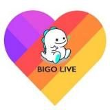 Логотип @bigogirlshunter - bigogirlshunter