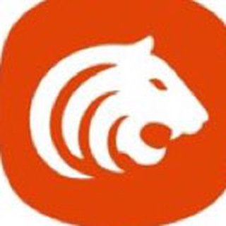 Логотип @bigtiger_chat - Bigtiger Chat