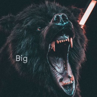 Логотип @bigtraderclub - Big trader club