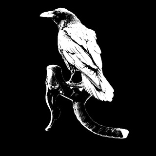 Логотип @bikepackingua - #велогади