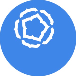 Логотип @bilberry_info - Bilberry