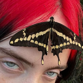 Логотип @billie_eilish_18 - Billie Eilish