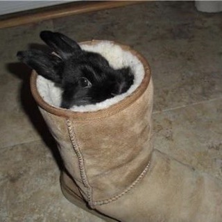 Логотип @bimbo_folk_gyaru_comfort56 - bimbo folk gyaru comfort