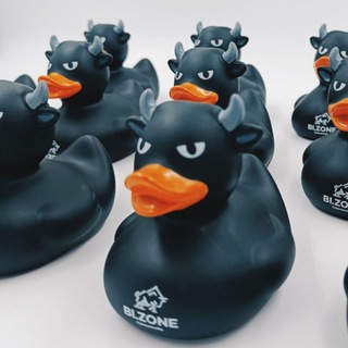 Логотип @bin_z0ne - /bin/zone