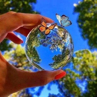 Логотип @binary_system_palmina - Crypto_Marathon💰