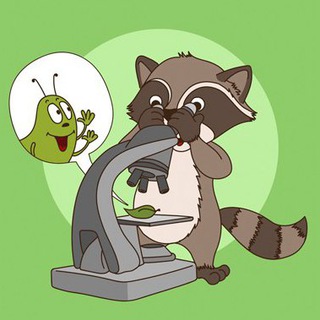 Логотип @bio_ege100ballov - Биология ЕГЭ 100БАЛЛОВ