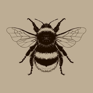 Логотип @bioinnovations - Шмели. Опыление. Биоинновации