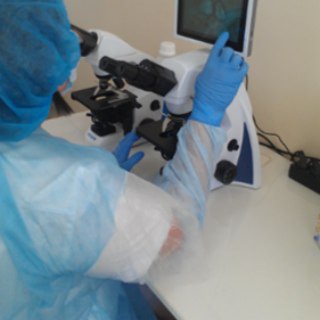 Логотип @biolab_saxovat - BioLab_LBM