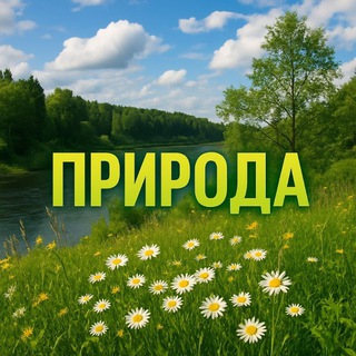 Логотип @biologiapriroda - Прир🌼да