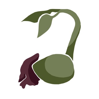 Логотип @biology_logic - БиоЛогика