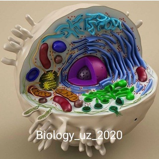 Логотип @biology_uz_2020 - BIOLOGY_UZ_2020 | UYDA QOLING