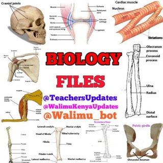 Логотип @biologydiscussion - Biology Discussion