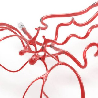 Логотип @biomapmed - BIOMAP | Современные технологии в медицине